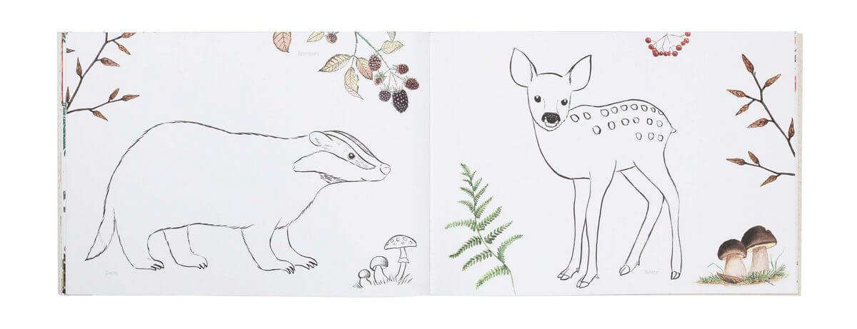 Naturmalbuch für Groß und Klein